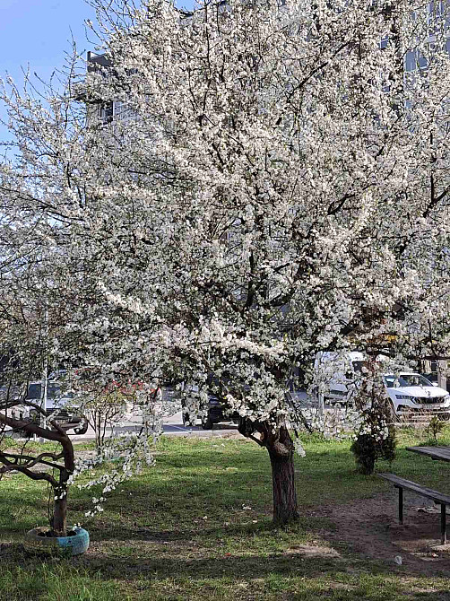 Продаж Квартира 3-кімнатна, 5/5 поверх на вул. Горбача Кременець - фото 3