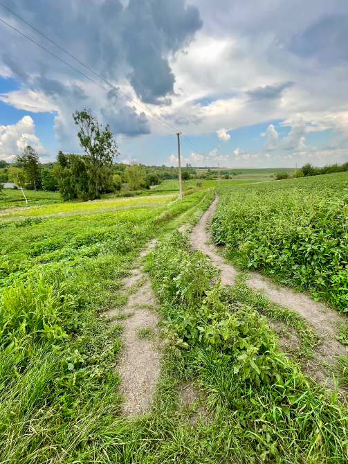 Продаж 1-поверховий Будинок з ділянкою 65 сот 57.2 кв.м 2 кімн. на Вулиця Весняна 32а Підліски - фото 4