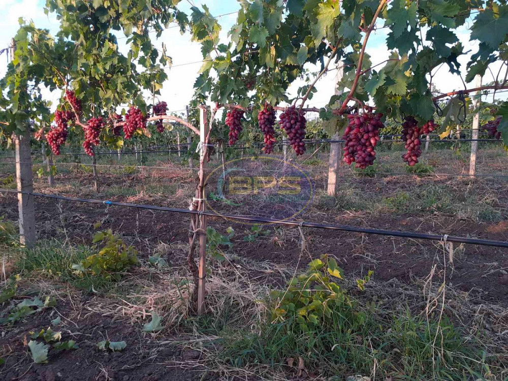 Продаж земельної ділянки 7.72 га на вул. 1 Овідіополь - фото 20