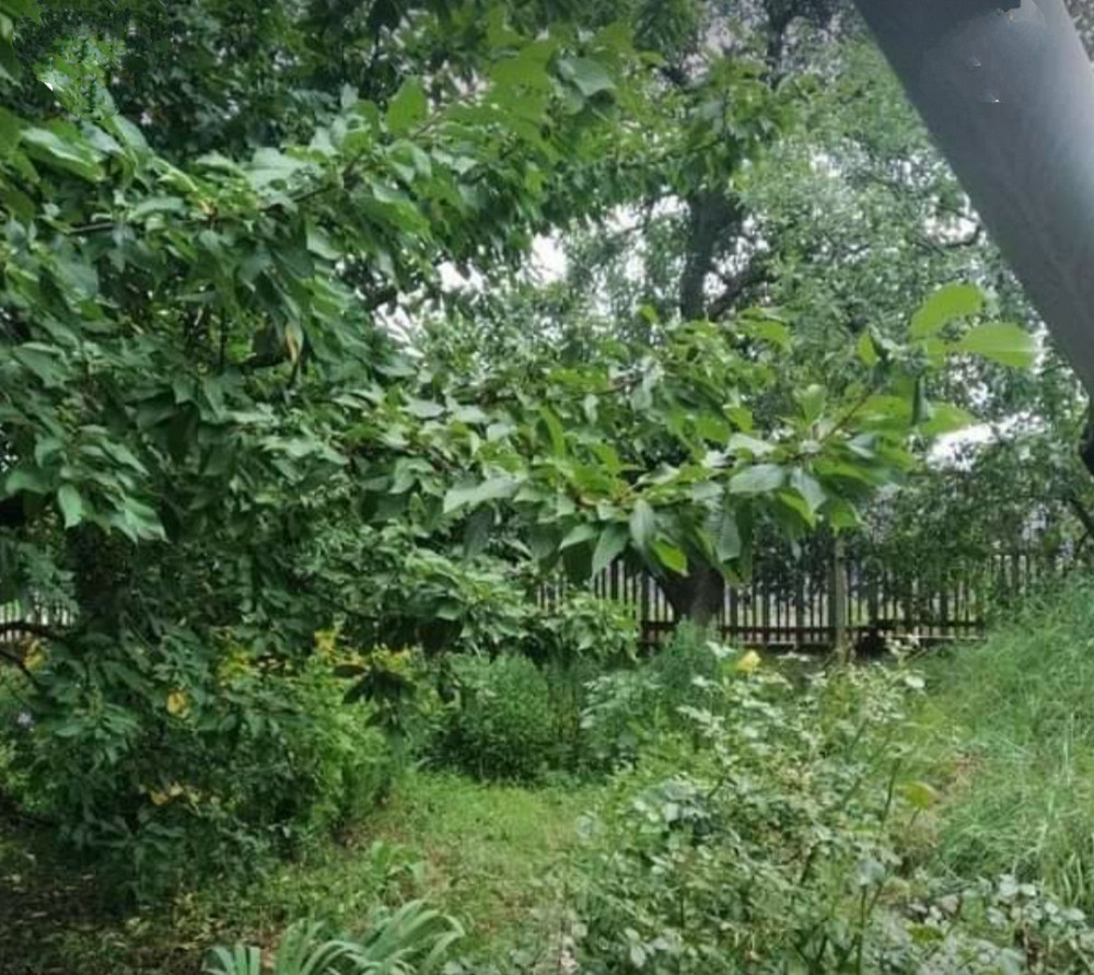 Продаж земельної ділянки 7 соток на Западная Zhytomyr - photo 1