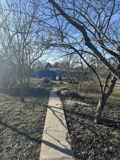 Продам Дачну ділянку. Кропивницький - фото 3