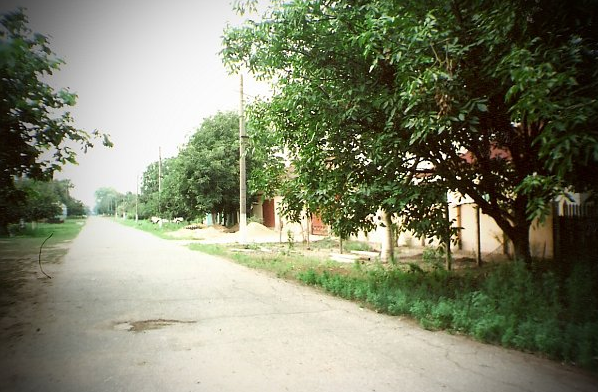 Продаж земельної ділянки 0.3 соток на ул. Степна, 32 Березань - изображение 3