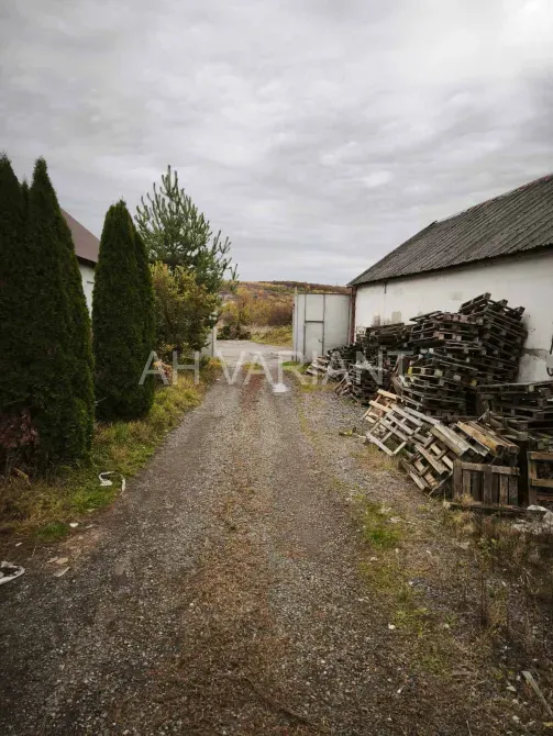 Продаж Склад / ангар площа 720 кв.м на Вознесенська 2Б Ужгород - фото 6