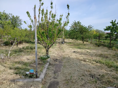 Продаж земельної ділянки 0.1 соток на ул. Колгоспна, 80 Корсунци - изображение 1