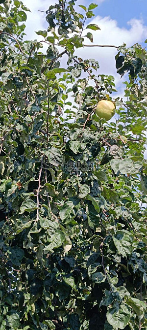 Продаж Будинок 2-кімнатний на вул. Верхня Гиївська Харків - фото 20