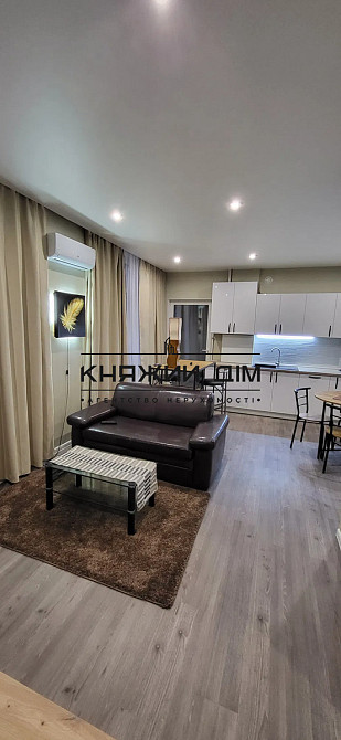 Оренда Квартира 1-кімнатна, 7/10 поверх на Оптимістична  - фото 3