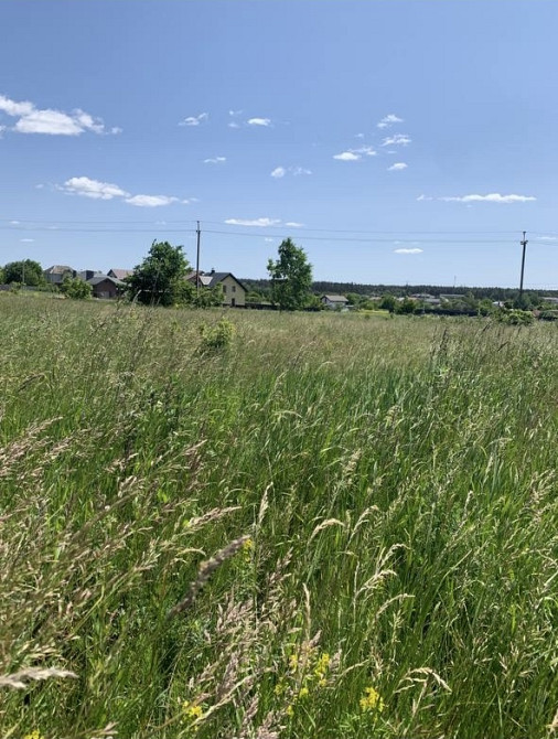 Продаж земельної ділянки 16 соток на Зарічани Zhytomyr - photo 3