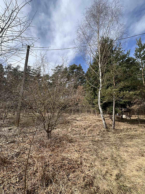 Продаж земельної ділянки 53 соток на вул. Шевченка Rodatychi - photo 8