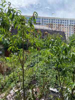 Продаж земельної ділянки 0.1 соток на переулок Компасный, 8 Odessa