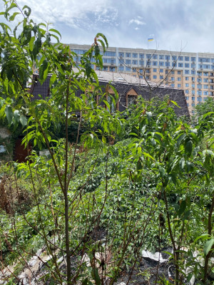 Продаж земельної ділянки 0.1 соток на переулок Компасный, 8 Odessa - photo 2