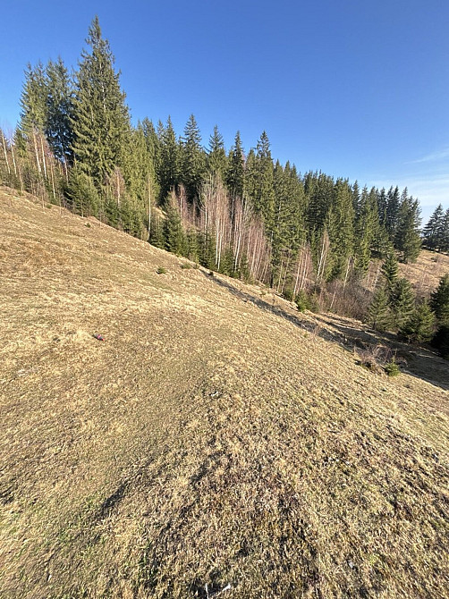 Продаж земельної ділянки 31 соток Verkhovyna - photo 12