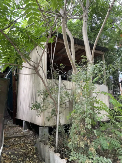 Продам курень в Крыжановке (Причал №218) Крижанівка (Комінтернівський район) - фото 9