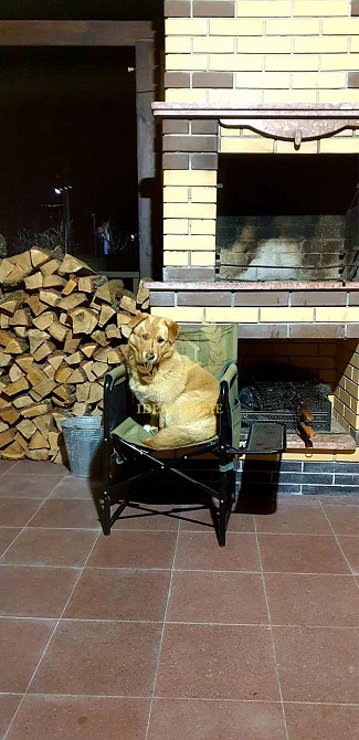 Продаж Будинок 6-кімнатний на Центральная ул.  - фото 13