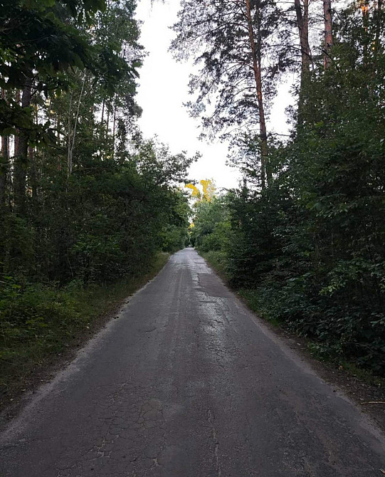 Продаж земельної ділянки 10 соток на Зарічани(в лісі) Zhytomyr - photo 3