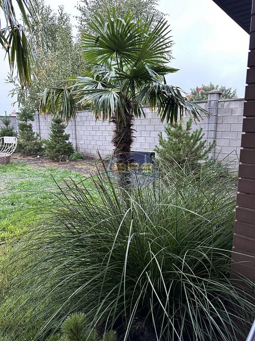 Продаж 2-поверховий Будинок з ділянкою 6 сот 200 кв.м 4 кімн.  Фонтанка - фото 11