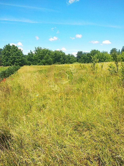 Продаж земельної ділянки 23 соток на Полевая ул., 6 Ustymivka - photo 1