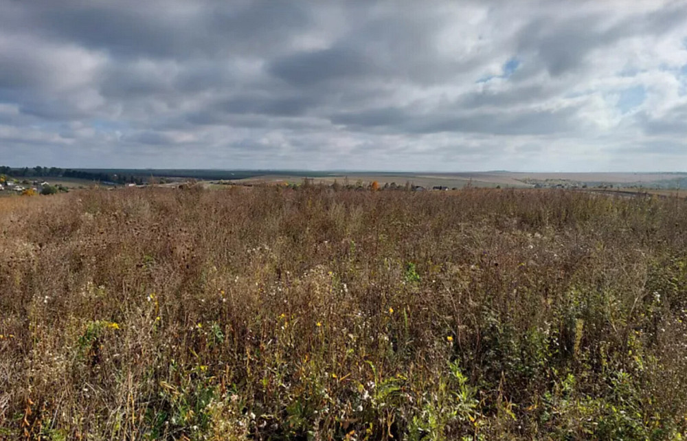 Продаж земельної ділянки 20 соток Baikivtsi - photo 2