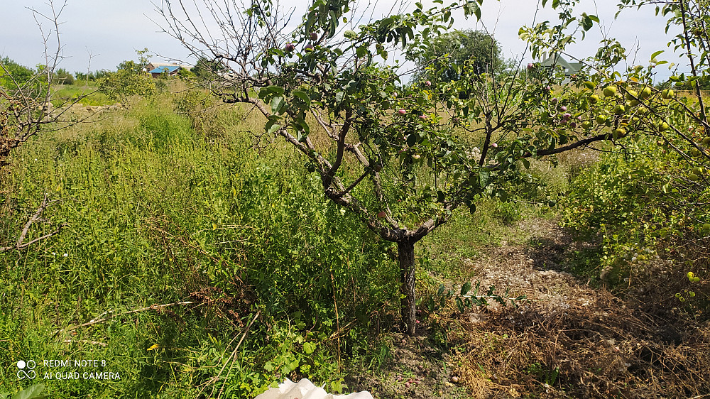 Продаж земельної ділянки 0.1 соток на ул. Победы, 5к Нерубайское - изображение 1