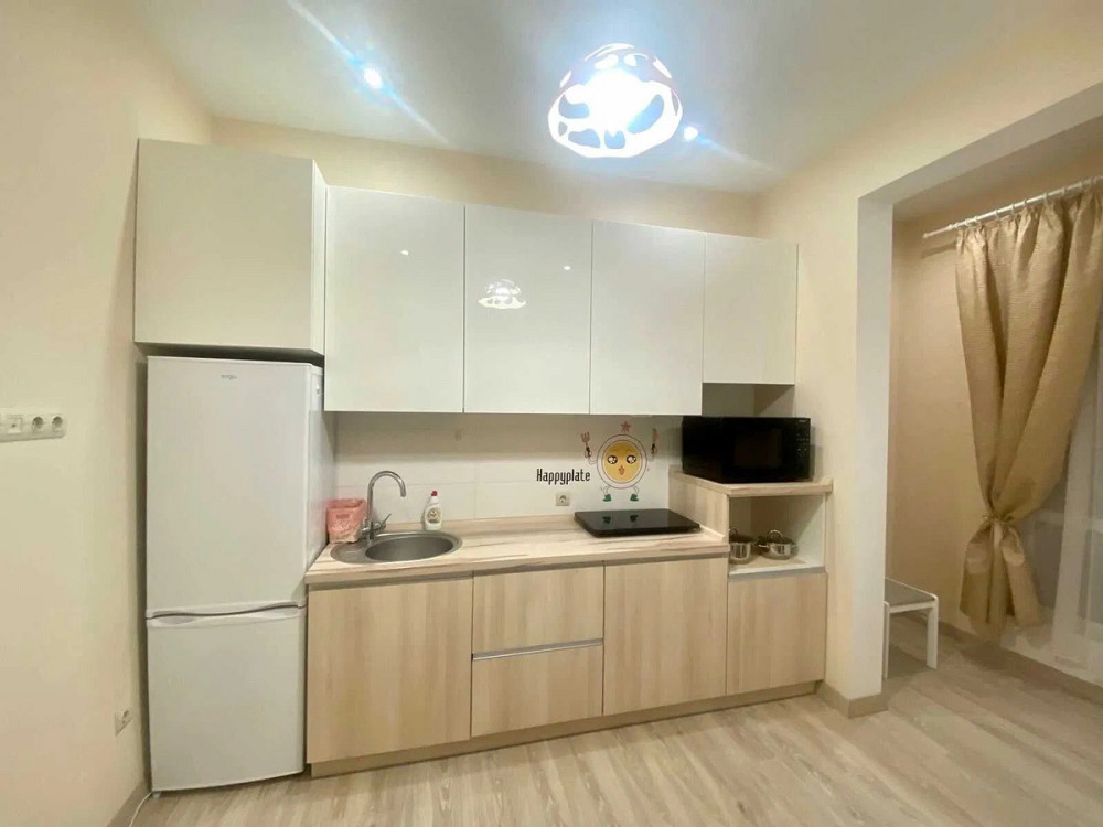 Оренда Квартира 1-кімнатна, 9/9 поверх на Героїв Дніпра, 16А Kiev - photo 6