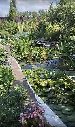 Продам особняк в м. Узин Uzyn