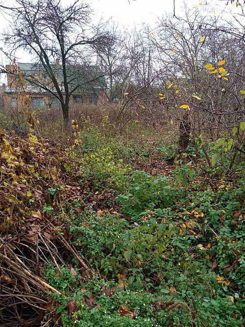 Продаж земельної ділянки 16 соток на Івана Пулія Vinnytsya - photo 3