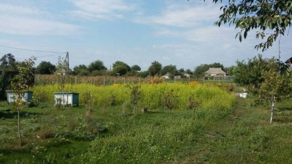 Продаж земельної ділянки 20 соток Головурів - фото 12