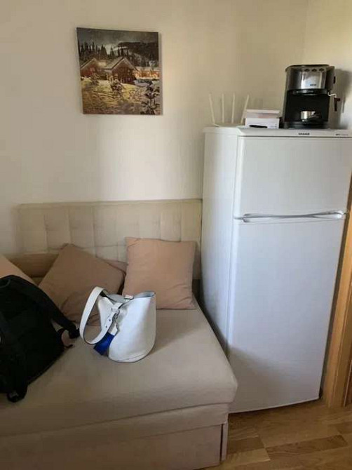 Оренда Квартира 1-кімнатна, 7/9 поверх на ул. Новоукраинская Київ - фото 5