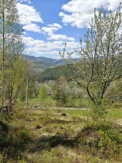 Продаж земельної ділянки 14 соток Яремче - фото 12