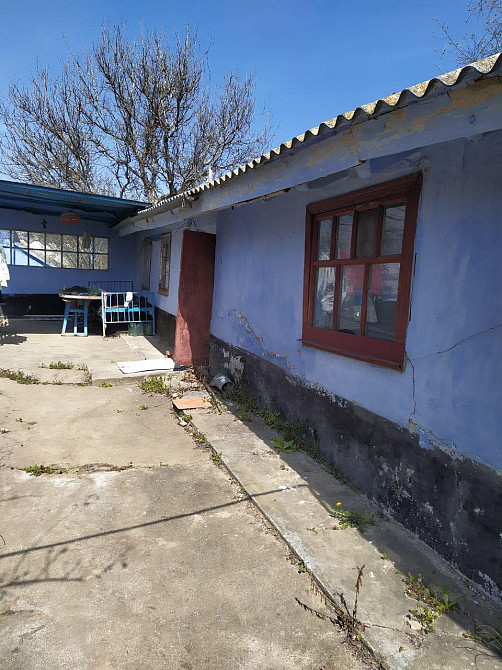 Продам дом с. Новоконстантиновка . Новокостянтинівка - фото 2