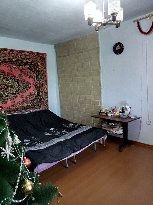 Продам дом за городом Мала Петрівка - фото 12