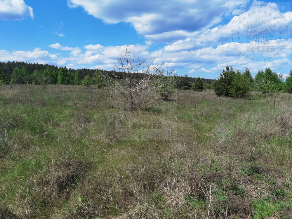 Продаж земельної ділянки 25 соток на Космічна вул., 2 Blystavytsia - photo 6