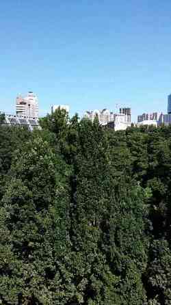 Оренда Квартира 3-кімнатна, 7/7 поверх на ул. Назаровская Киев