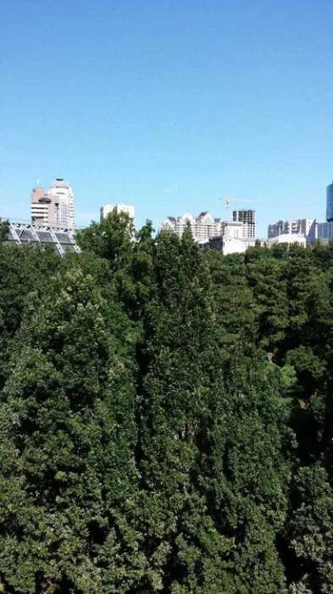 Оренда Квартира 3-кімнатна, 7/7 поверх на ул. Назаровская Київ - фото 1