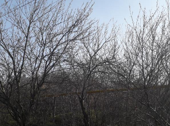 Участок с домом около Нати Нерубайське - фото 5