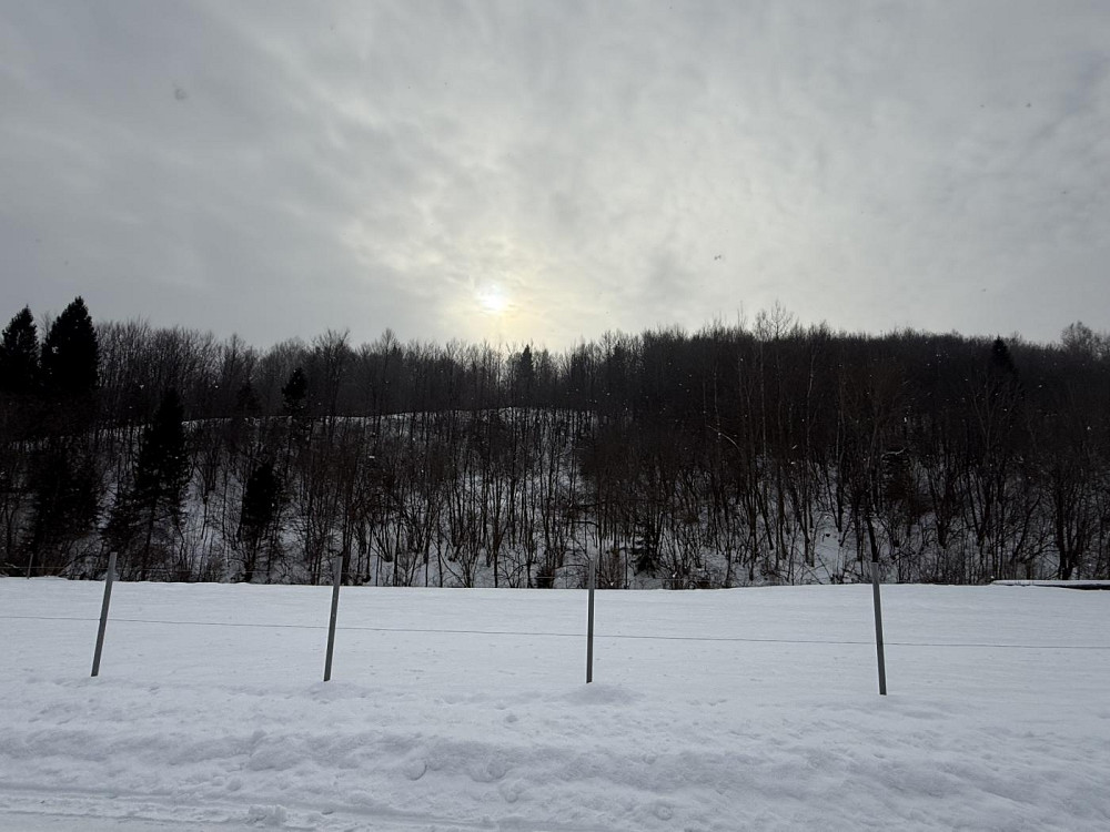 Продаж земельної ділянки 10 соток Урич - фото 11