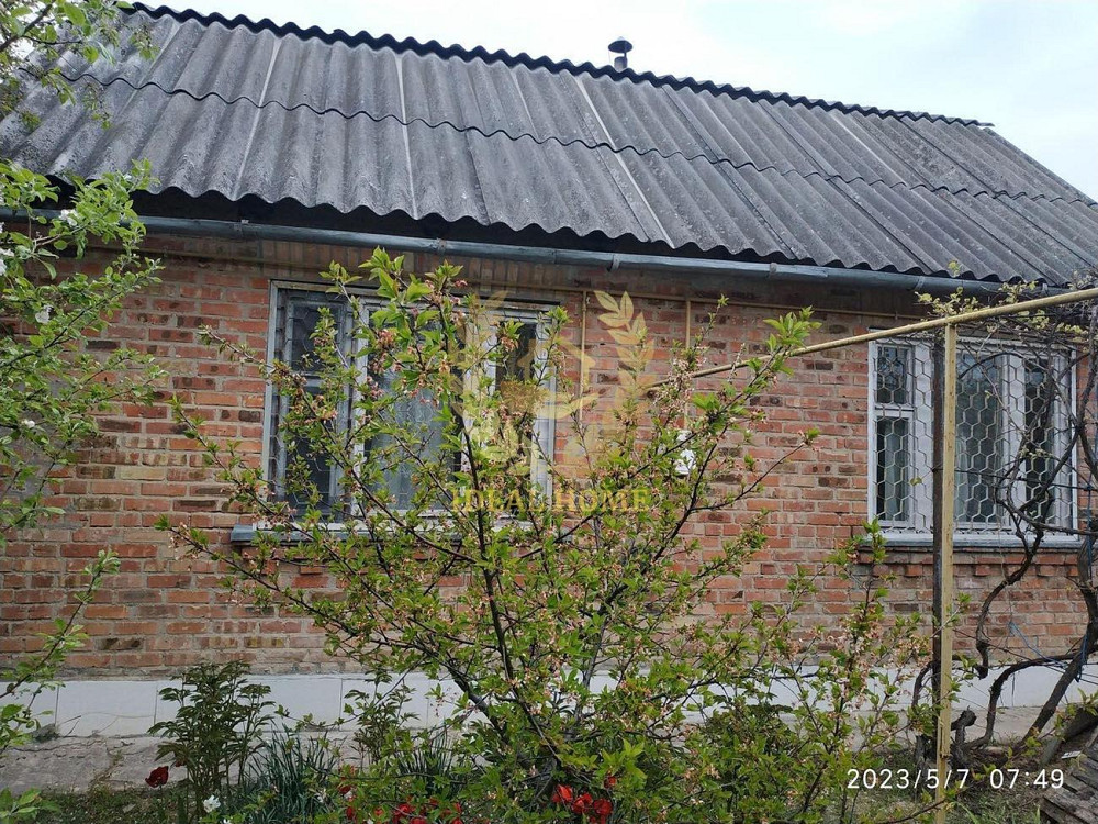 Продам дачу біля села Кощіївка Фастівського району  - фото 3