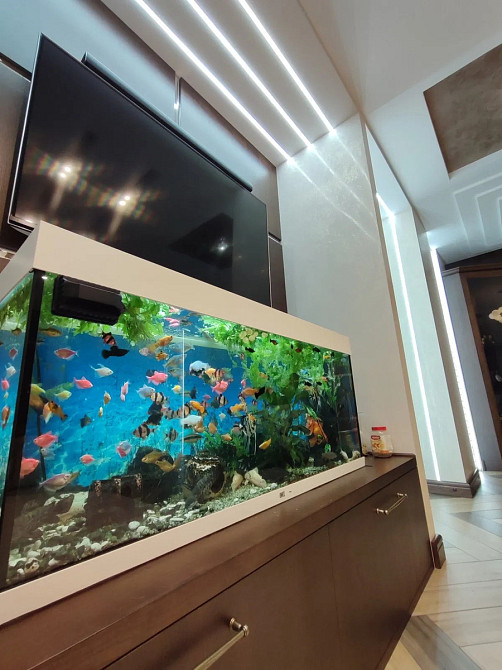 Велика 3-кімнатна квартира з дизайнерським ремонтом, Кропивницький - фото 11