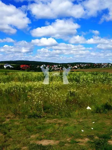 Продажа земельного участка  площадь 207 сот Зелена вулиця  - изображение 3