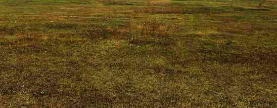 Продаж земельної ділянки 0.1 соток на ул. 1-я линия, 25 Nerubaiske