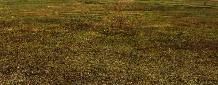 Продаж земельної ділянки 0.1 соток на ул. 1-я линия, 25 Нерубайське - фото 3