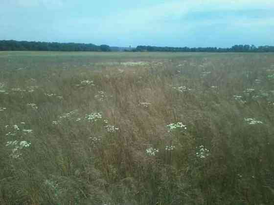 Продаж земельної ділянки 3.39 га 