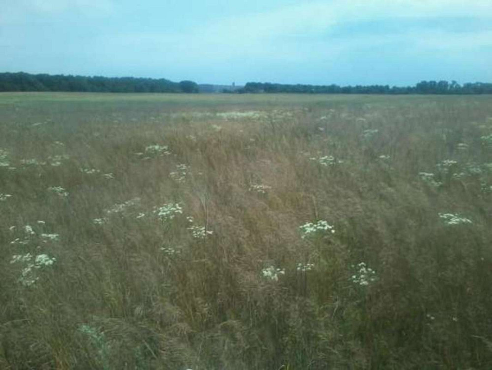 Продаж земельної ділянки 3.39 га  - фото 1