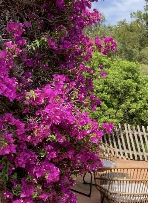 Дом в Крыжановке Крижанівка (Комінтернівський район) - фото 15