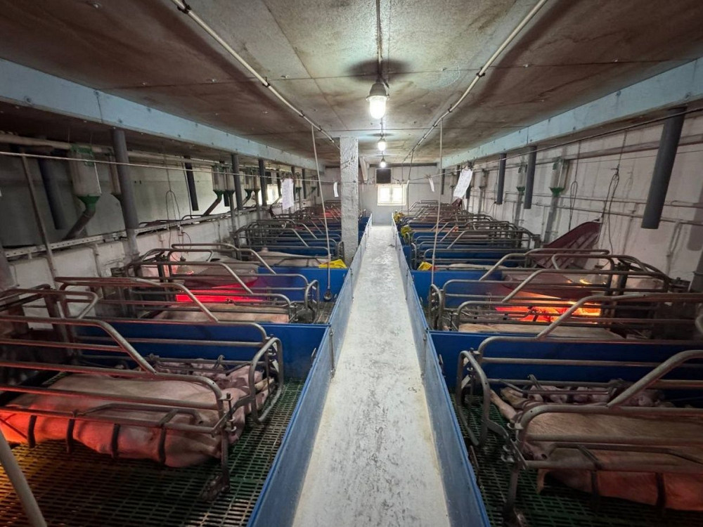 Продаж виробниче приміщення приміщень - 1, поверх - 1/1 Vinnytsya - photo 5