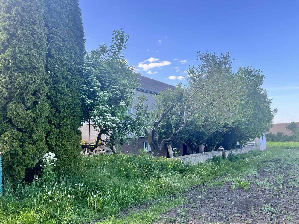 Продаж земельної ділянки 50 соток  - фото 1