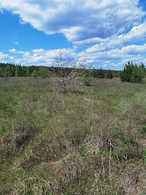 Продаж земельної ділянки 25 соток на Космічна вул., 2 Blystavytsia - photo 5