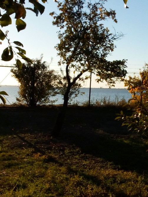 Продам дом в с.Граденицы с выходом на Кучурганский лиман Градениці - фото 15