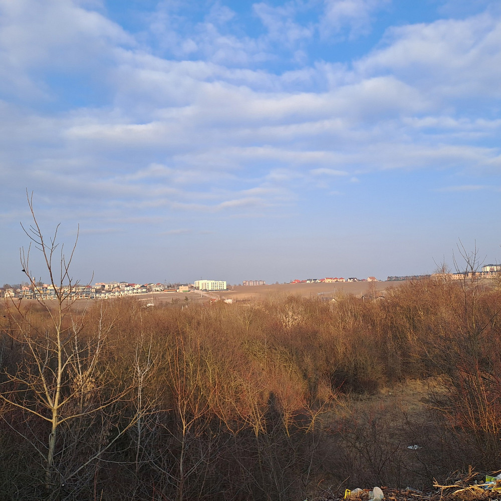 Продається котедж в Петриках ( дольова )  - фото 5