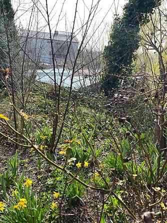 Продаж земельної ділянки 7 соток на Центральная 