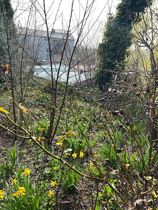 Продаж земельної ділянки 7 соток на Центральная  - фото 6